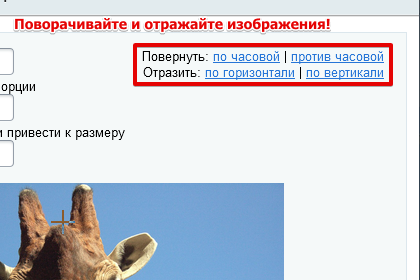 Обрезать Фото По Размерам Онлайн Бесплатно