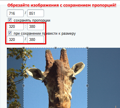 Обрезать Фото По Размерам Онлайн Бесплатно